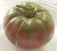 Zwart heil lekken-1.jpg