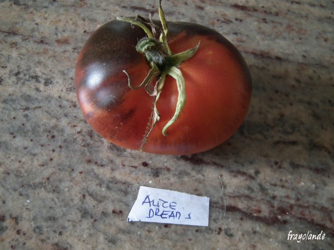 Fichier:Alices Dream.jpg