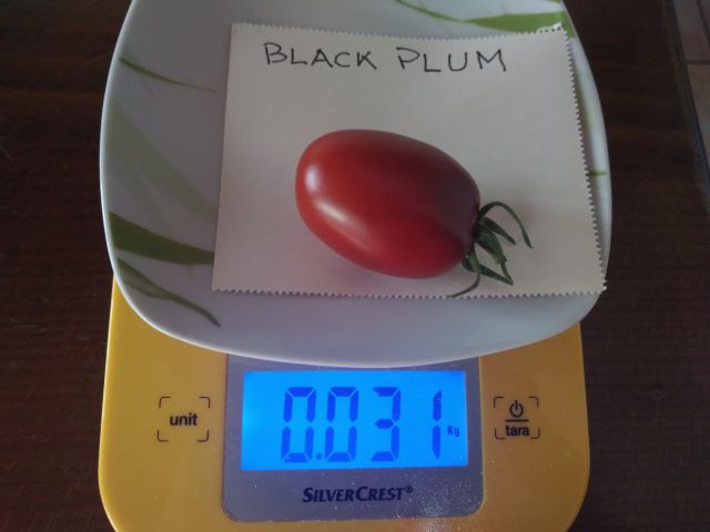 Fichier:BLACK PLUM-1.jpg