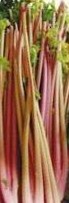 CELERI A CÔTES giant red-1.jpg