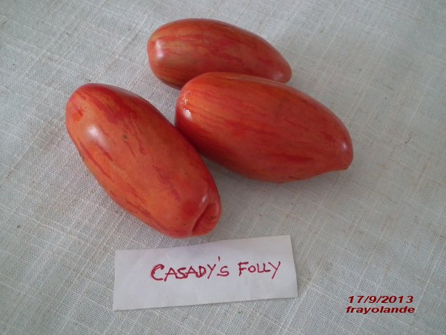 Fichier:Casady s folly.jpg