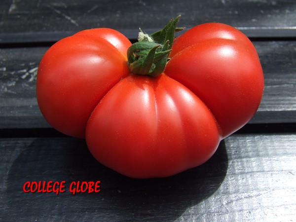 Fichier:Collège Globe-1.jpg