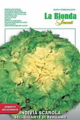 Fichier:Géante de Bergame-1.jpg