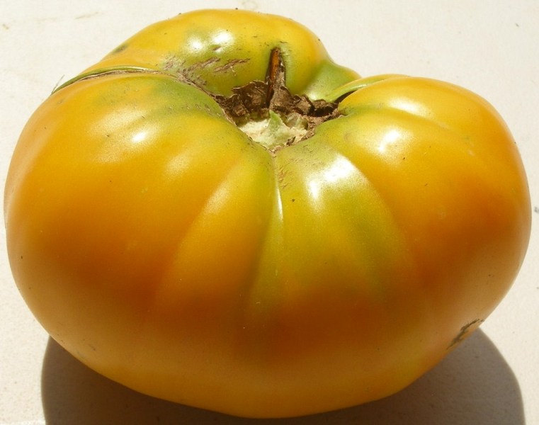 Fichier:Garden lime-1.jpg