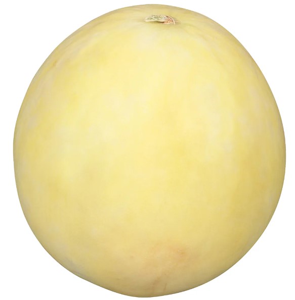 Fichier:Honeydew Sweet Delight-1.jpg