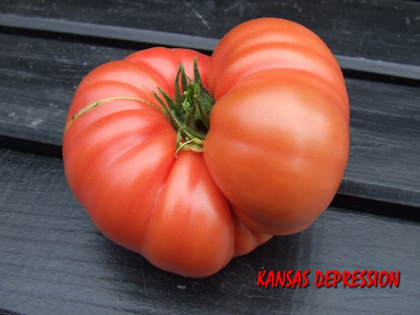 Fichier:Kansas depression.jpg