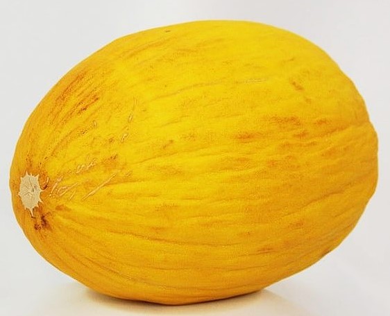 Fichier:MELON melon jaune canari.jpg