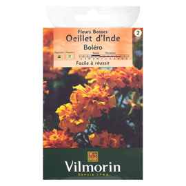 Fichier:Oeillet d'inde boléro-1.jpg