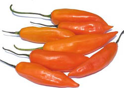 Fichier:Piment aji amarillo.jpg