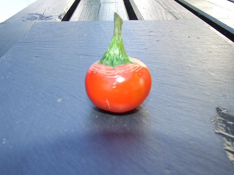 Fichier:Piment big bomb-1.jpg