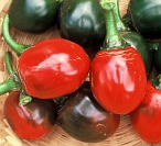 Piment cascabel-2.jpg