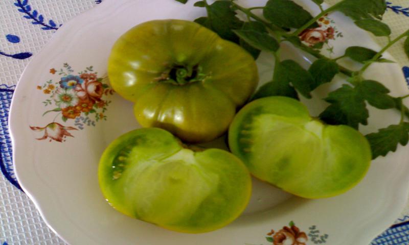 Fichier:Spears tennessee green.jpg