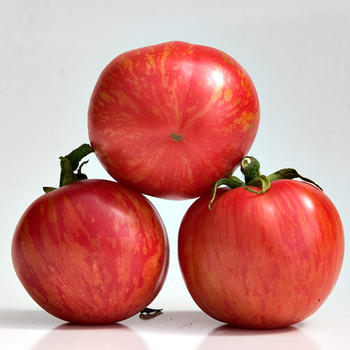 Fichier:Sweet Carneros Pink-1.jpg