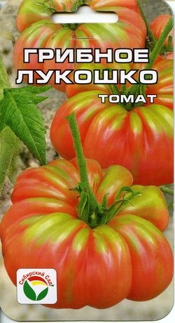 Fichier:TOMATE Mushroom Basket.jpg