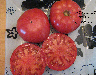 Tomate Mortgage Lifter Carter's-1.jpg