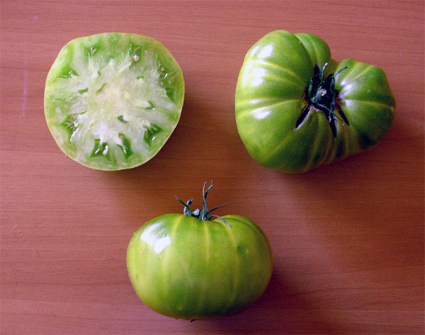 Fichier:Tomate charlie s green op.jpg
