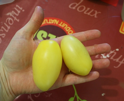 Fichier:Tomate cream sausage-1.jpg