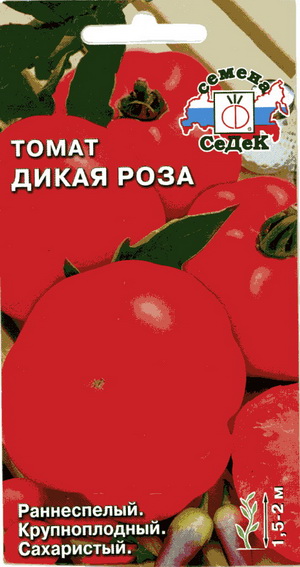 Fichier:Tomate dikaja rosa-1.jpg