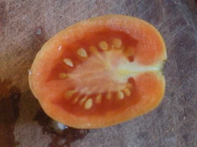 Fichier:Tomate giallo a grappoli.jpg