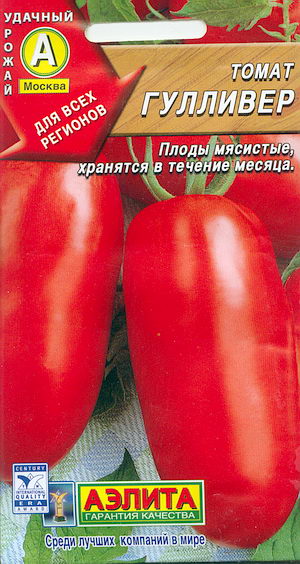 Fichier:Tomate gulliver-1.jpg