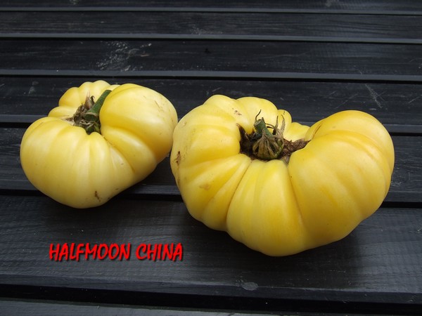 Fichier:Tomate halfmoon china.jpg