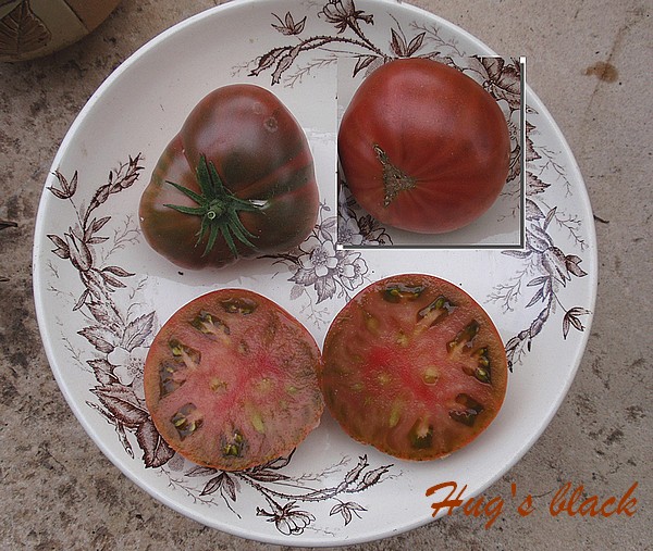 Fichier:Tomate hugh s black.jpg