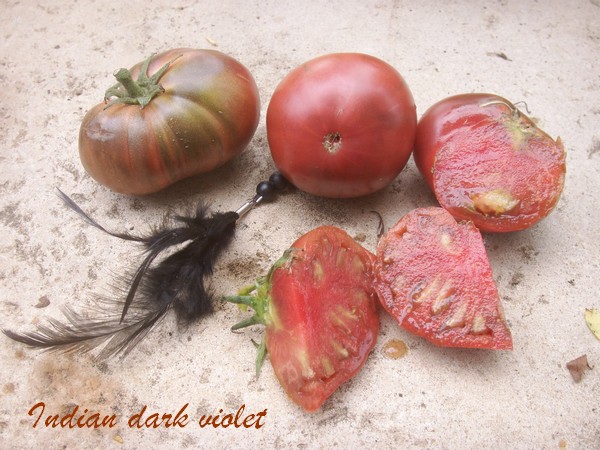 Fichier:Tomate indian dark violet beefsteak.jpg