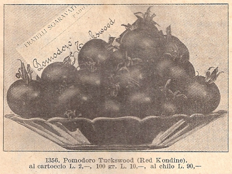 Fichier:Tomate kondine red ou supergran improved kondine red-1.jpg