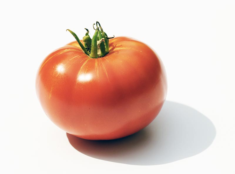 Fichier:Tomate mouries op.jpg