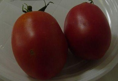 Fichier:Tomate rose d espelette-1.jpg