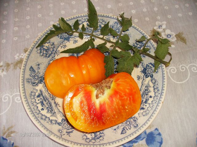 Fichier:Tomate striped german-2.jpg