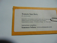 Tomate sun baby-2.jpg