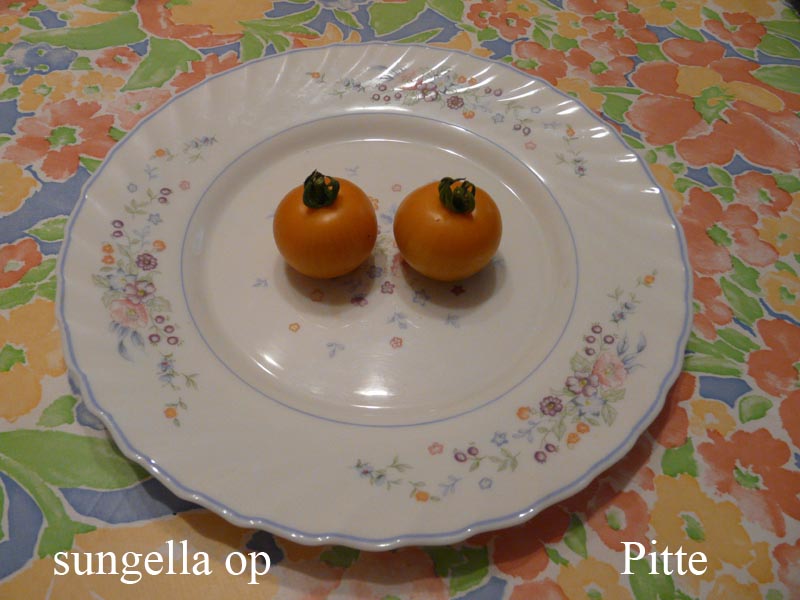 Fichier:Tomate sungella op.jpg