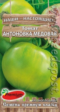 Antonovka Medovaya.jpg