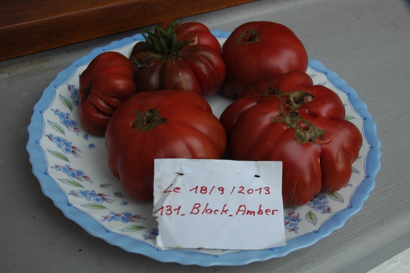 Fichier:BLACK AMBER.jpg