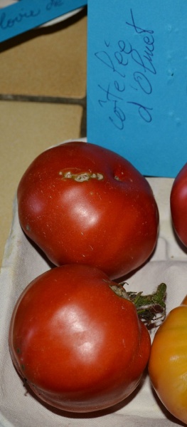 Fichier:Côtelée dOlmet.jpg