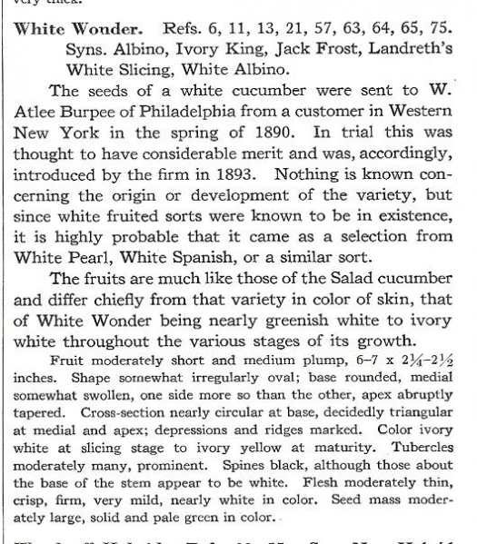 Fichier:CONCOMBRE white wonder-1.jpg