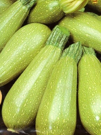 COURGETTE bolognese-1.jpg