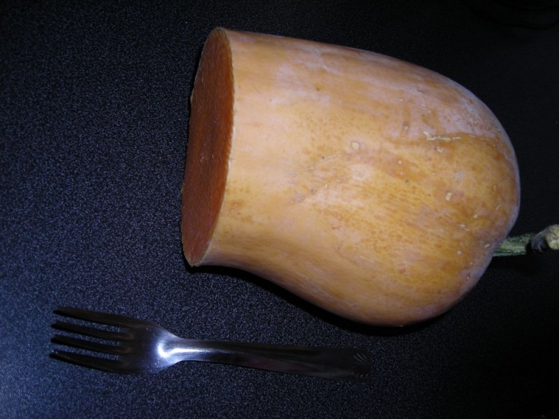 Fichier:COURGE MUSQUEE longue de nice.jpg