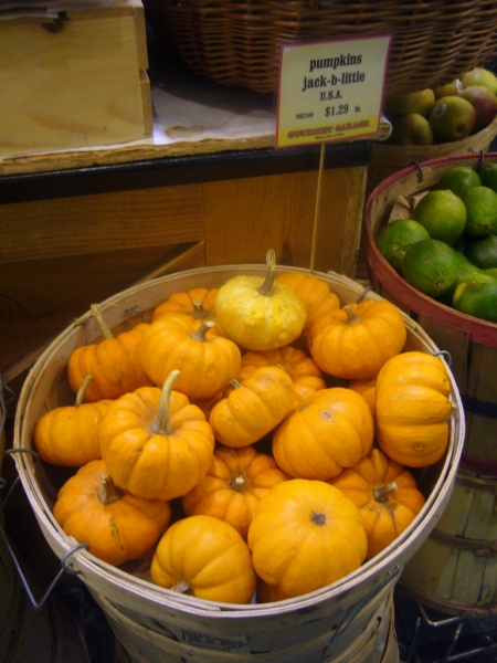 Fichier:COURGE jack be little.jpg