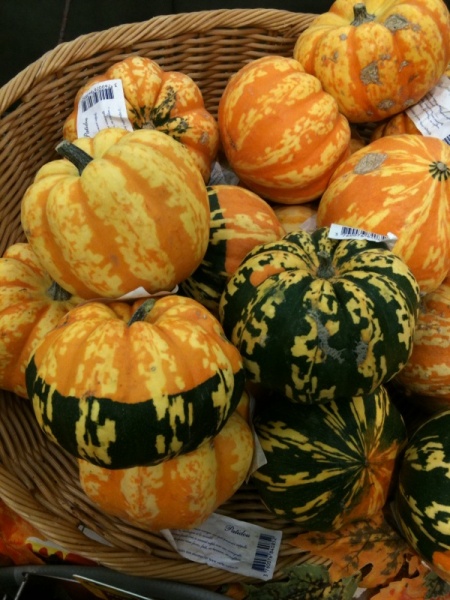 Fichier:COURGE sweet dumpling-1.jpg