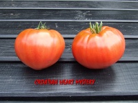 Croatian Heart Mystery-1.jpg