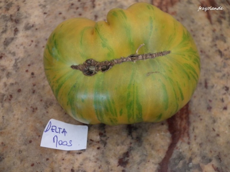 Fichier:Delta Moss.jpg