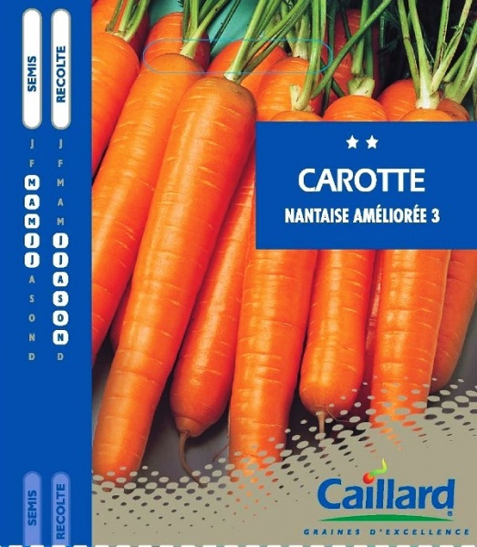 Fichier:Demi-longue Nantaise améliorée 3-1.jpg