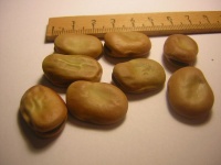 FEVE super agualdulce.jpg