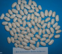 Flageolet Blanc de Flandre.jpg