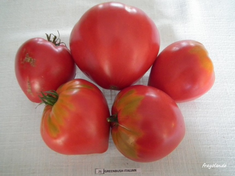 Fichier:Greenbush Italian-2.jpg