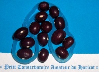 HARICOT A ECOSSER crochu de montmagny.jpg