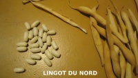 Haricot Lingot du Nord-1.jpg