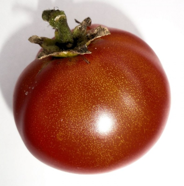 Fichier:Heinz 2274.jpg